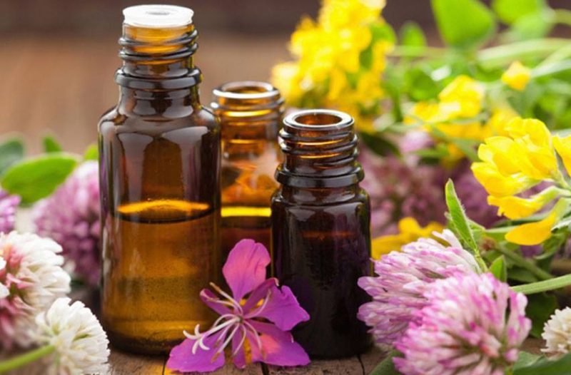 Kaštela - kastelahr.com - Shopping - Bio Terra - Trgovina prirodnih i zdravih proizvoda