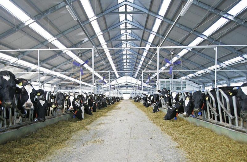 Kaštela - kastelahr.com - Podravka Agri širi brend ABC i na tržište donosi cjeloviti asortiman proizvoda od 100 posto domaćeg mlijeka