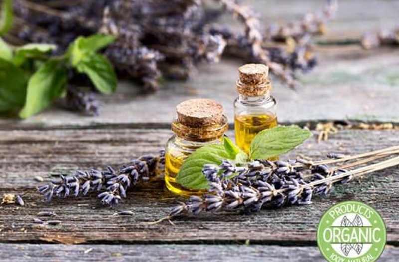 Kaštela - kastelahr.com - Florihana - Organska eterična ulja i hidrolati - BIO TERRA