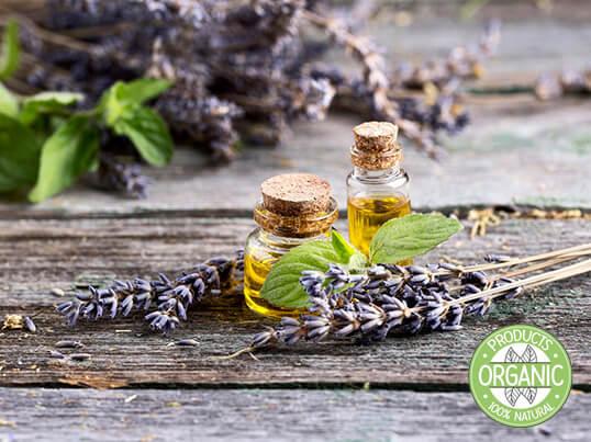 Kaštela - kastelahr.com - Ljepota - Florihana - Organska eterična ulja i hidrolati - BIO TERRA